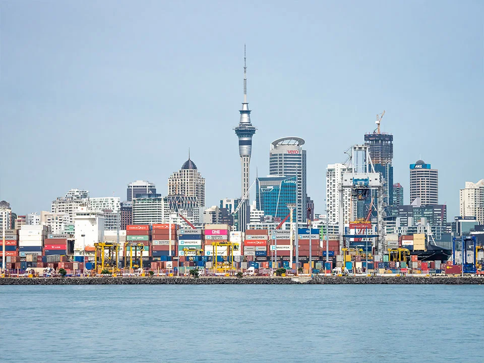 New Zealand BMSB Regulations 2025/26 Season