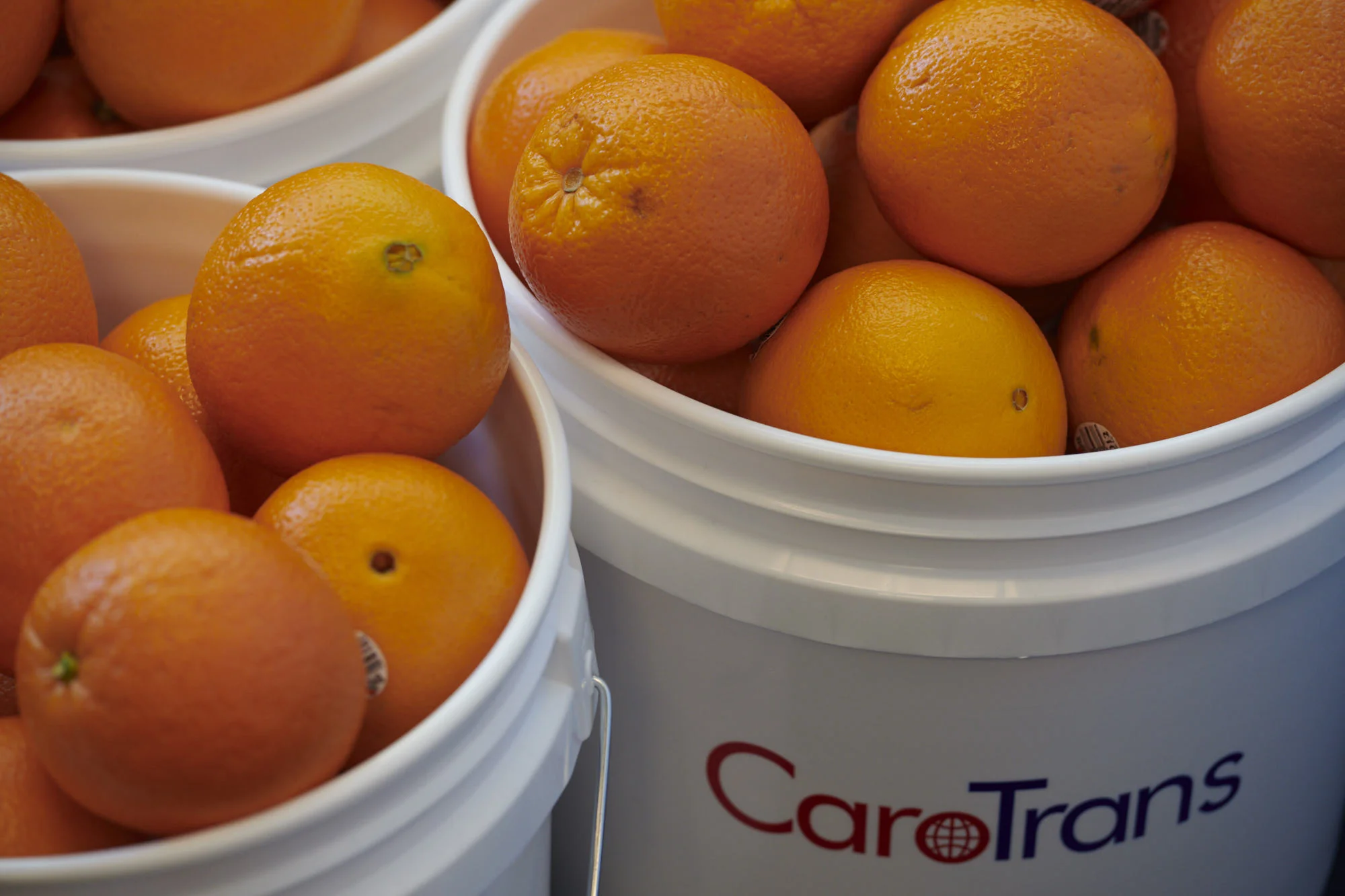 LCL Export Customer Advisory 25-001