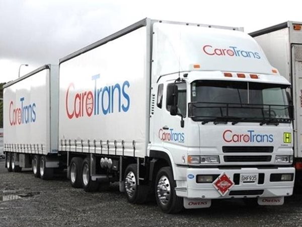 CaroTrans Truck Domestic - Through our network of strategically located branches across the country, we can move your pallets, crates & any challenging on freight.